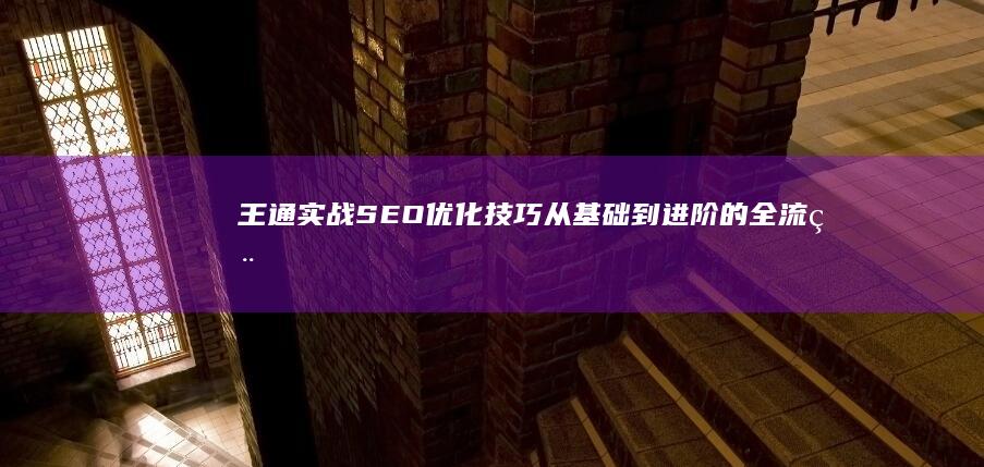 王通实战SEO优化技巧：从基础到进阶的全流程教程